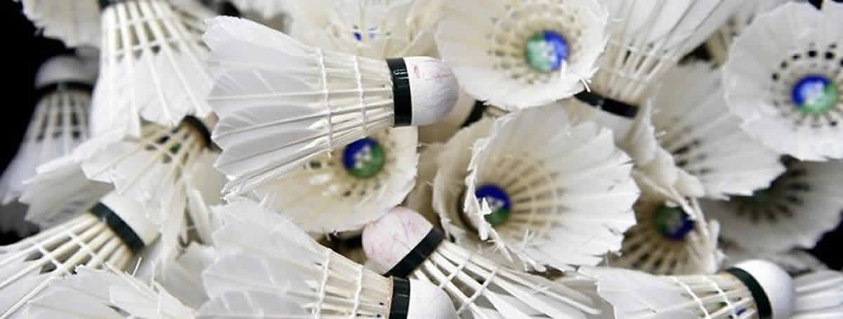 Badminton Shuttles
