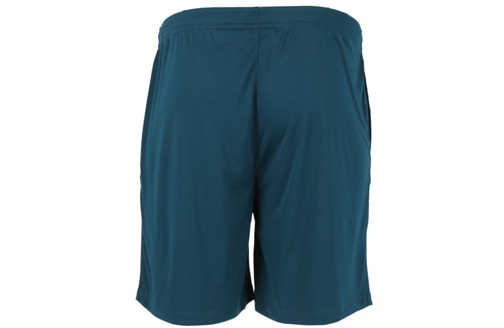 FZ Forza Landos M Shorts 2034 Poseidon back