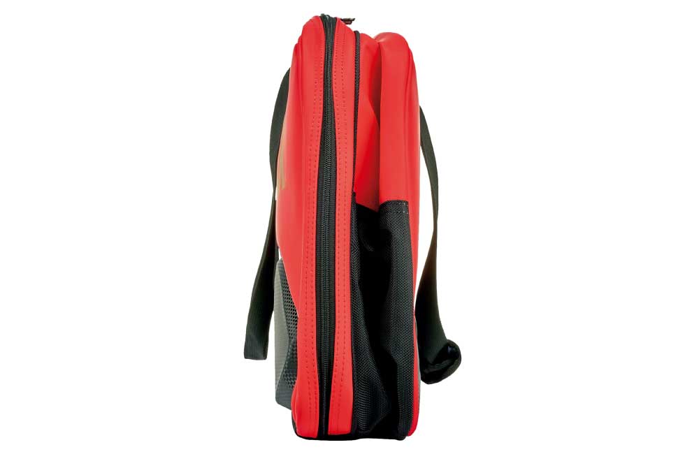 yonex expert Tournament bag 02531Wex shoe