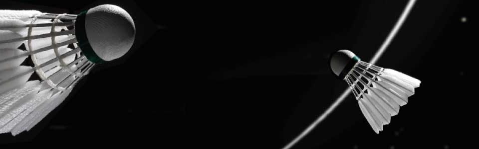 Victor New Carbonsonic NCS header