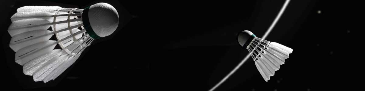 Victor New Carbonsonic NCS header