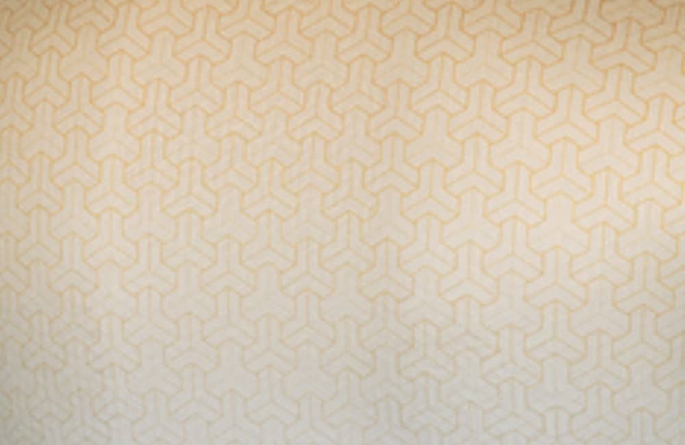 Victor T 55002 W Men print