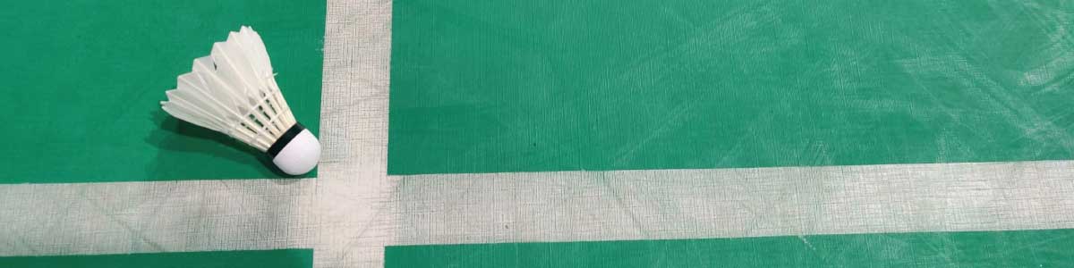 Badminton shuttle speeds explained